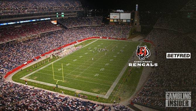 bengals cincinnati betfred gambling insider web image